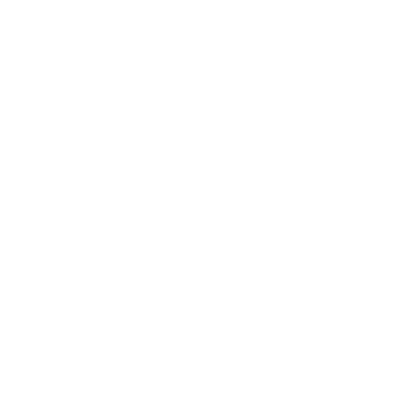 FJ Labs